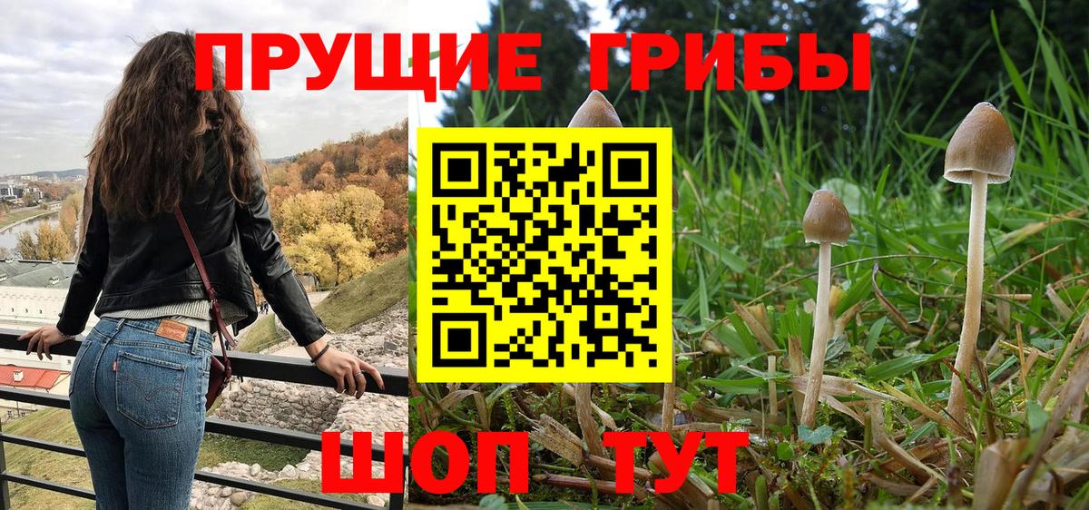 Самара  цены наркотик  Вход с VPN  Псилоцибиновые грибы ЛСД 