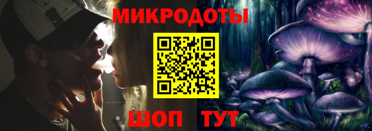 Галлюциногенные грибы Psilocybine cubensis Самара